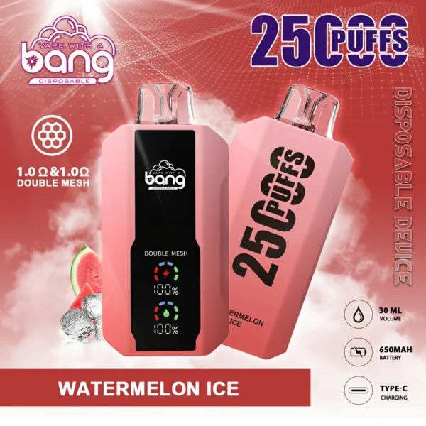 Bang 25000 Puffs 11 1