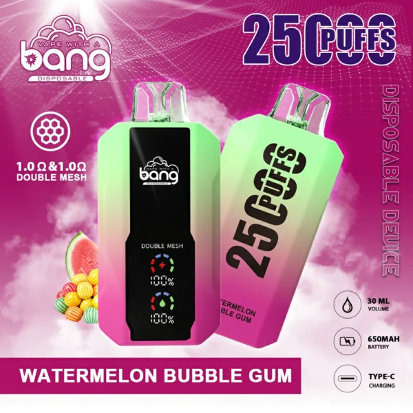 Bang 25000 Puffs 12 1