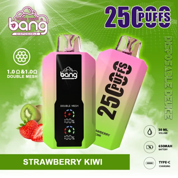 Bang 25000 Puffs 2