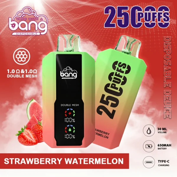 Bang 25000 Puffs 3