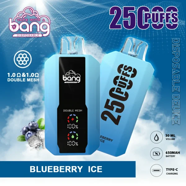 Bang 25000 Puffs 6