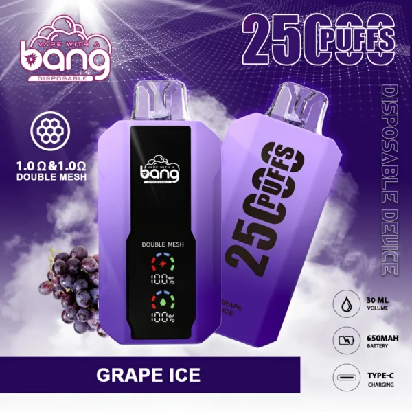 Bang 25000 Puffs 9