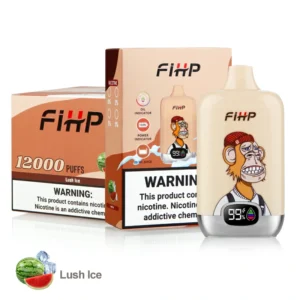 FIHP 12000 Puffs 10