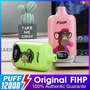 FIHP 12000 Puffs 11