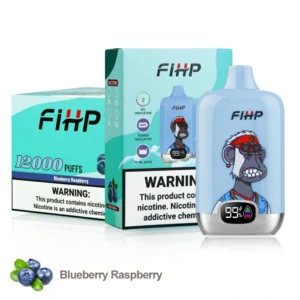 FIHP 12000 Puffs 9