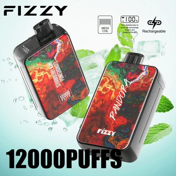 Fizzy Pandora 12000puffs 9