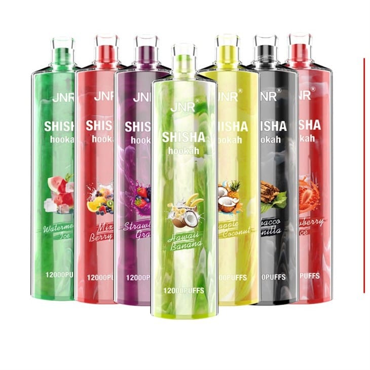 Waarom FIHP Shisha Hookah 12000 Rookwolken ideaal is voor EU-retailers